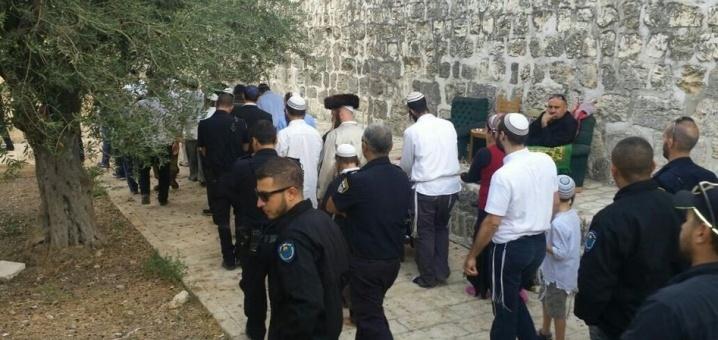 مستوطنون يقتحمون باحات المسجد الأقصى بحماية شرطية