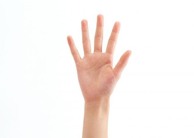 لماذا نمتلك 5 أصابع وليس 6؟
