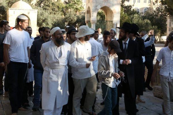 مستوطنون يستأنفون اقتحامهم للأقصى