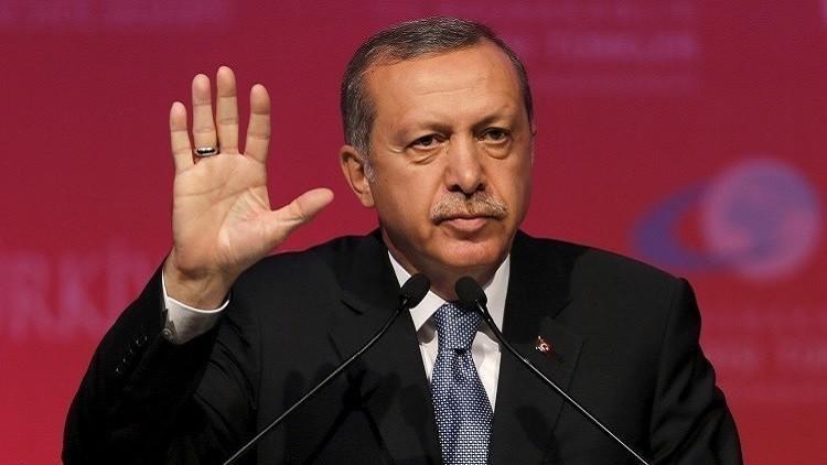 إردوغان قد يحكم تركيا حتى عام 2029 وفق خطط لتغيير الدستور