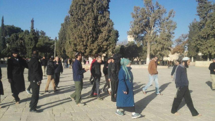 96 مستوطنًا يقتحمون الأقصى بحراسة مشددة