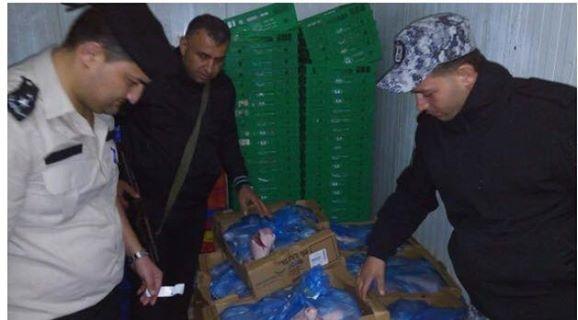 ضبط 200 كيلو أجنحة دجاج فاسدة في جنين