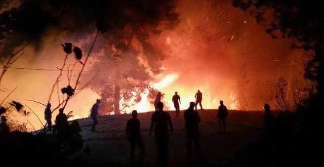 الدفاع المدني  يسيطر  على حريق الجانية قرب رام الله