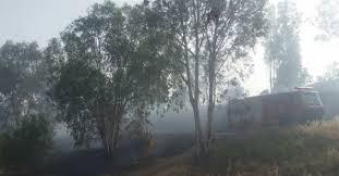 حريق كبير في الجليل الغربي