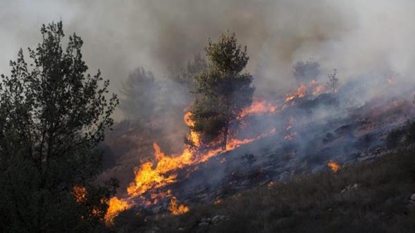 اندلاع حريق بأراضي قرى جنوب نابلس