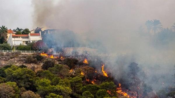 الإطفاء الإسرائيلي: 4 من حرائق حيفا متعمدة