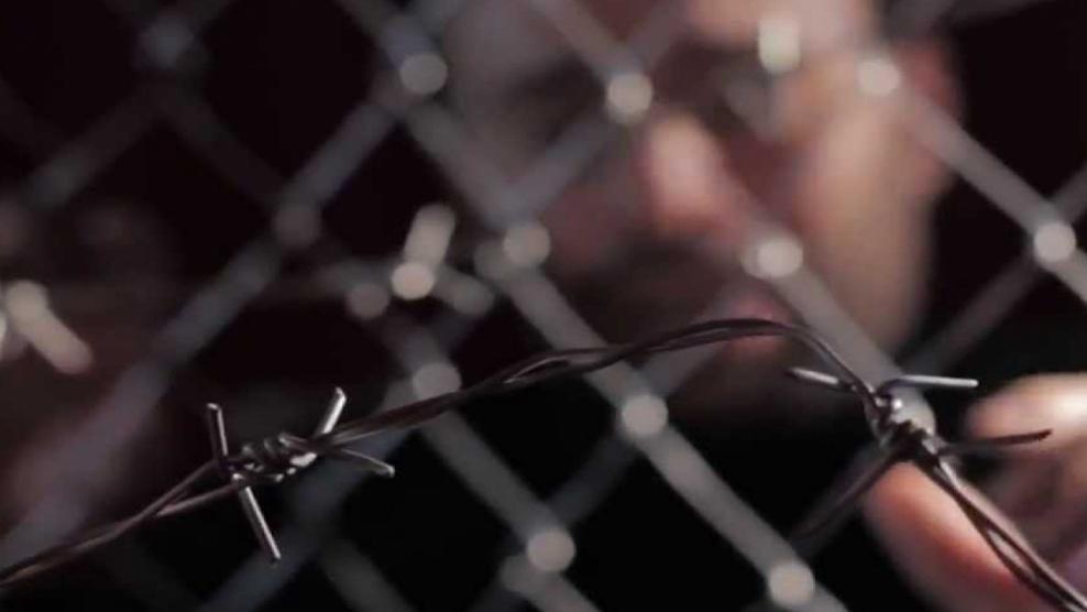 ثلاثة اشقاء يخوضون اضرابا عن الطعام بسجون الاحتلال