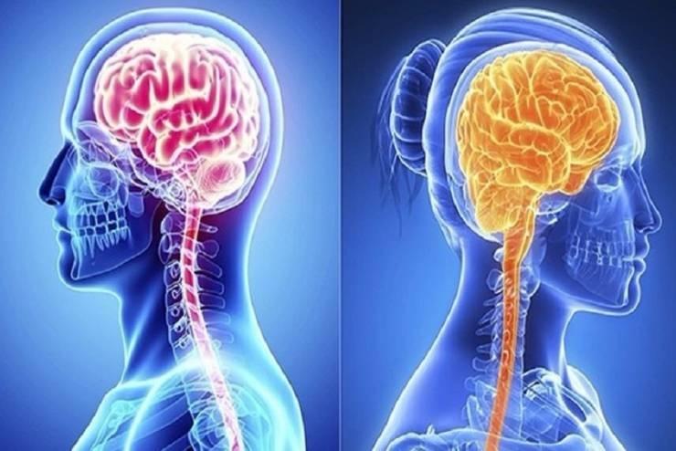 بعد الدراسات والأبحاث.. علماء يؤكدون إمكانية استعادة الذكريات المنسية!