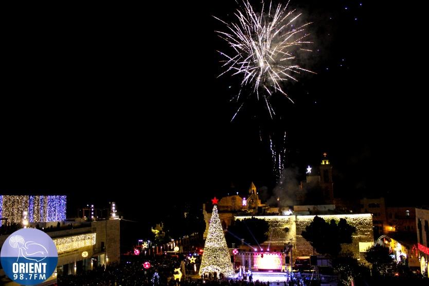 شجرة بيت لحم على قائمة أكثر الأشجار إلهاما وتميزاً بالعالم