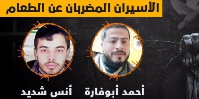 نادي الأسير: توقعات بنقل الأسيران ابو فارة وشديد إلى مشفى فلسطيني