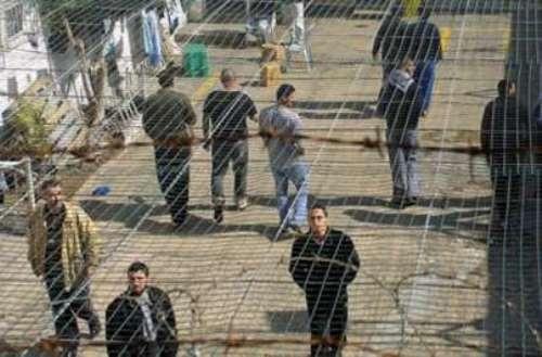 الاحتلال يصدر احكاما وغرامات مالية على 3 اشقاء من الخضر