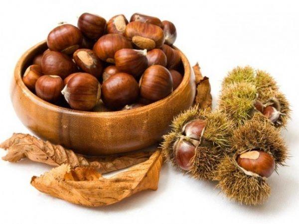 الكستناء: 4 حبّات في اليوم تصنع العجائب