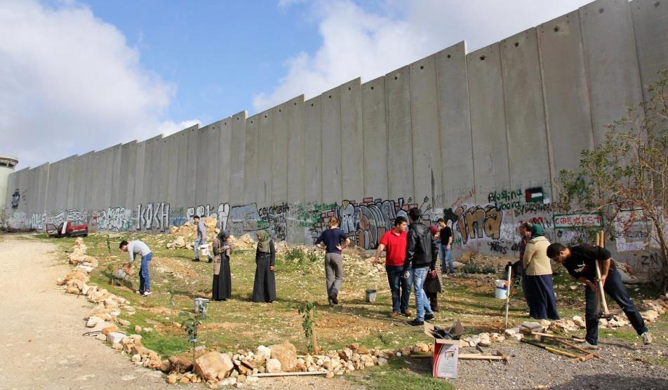 متحف فلسطين للتاريخ الطبيعي - جامعة بيت لحم يساعد في زراعة أشجار حرجية بجانب الجدار