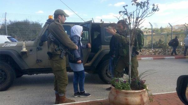 اعتقال طالبين قرب قلقيلية بحجة محاولة الطعن