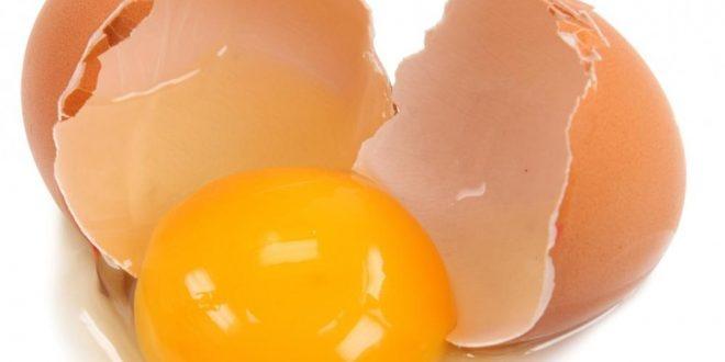 دراسة .. البيض صباحا يقيك من الزهايمر