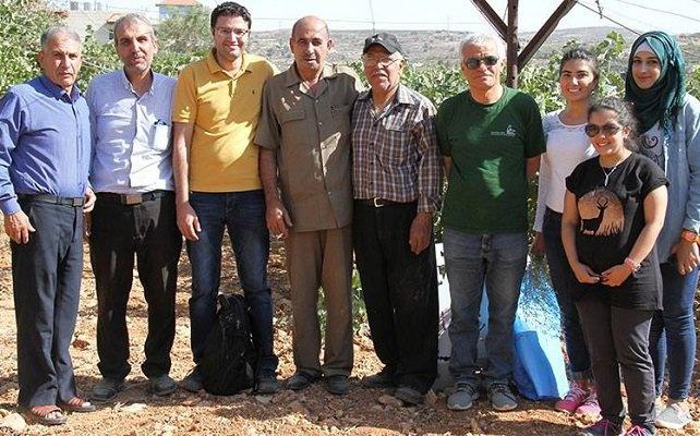 دراسة لجامعة بيرزيت: أوراق العنب تحمي من سرطان الرئة