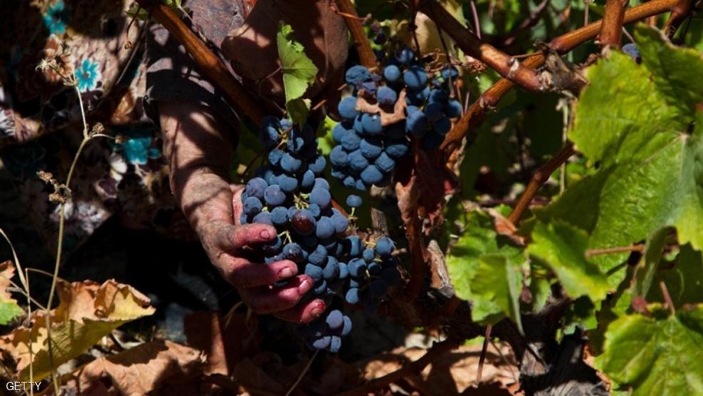 أمطار غزيرة تسبب 