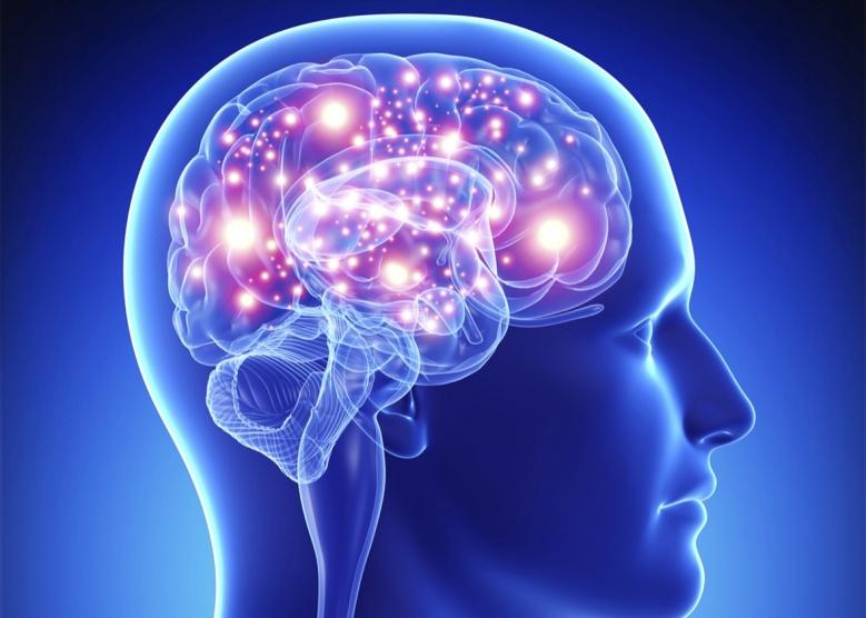 8 حقائق مثيرة لا تعرفها عن العقل البشري