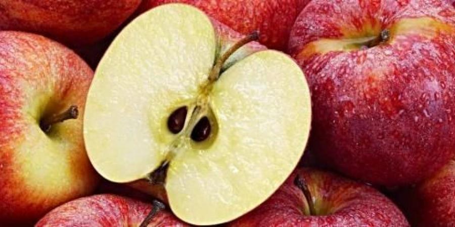 لهذا السبب تجنّب أكل بذور التفاح