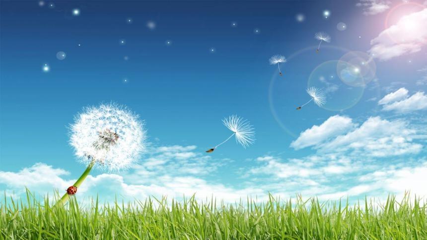 أجواء صافية ودافئة والحرارة أعلى من معدلها