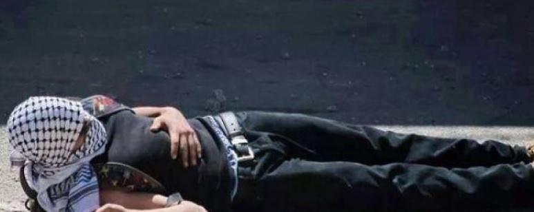 عائلة الشهيد نوارة تقدم التماسا ضد تخفيف تهمة الجندي القاتل