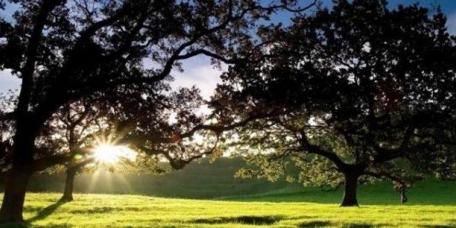 الطقس: ارتفاع على درجات الحرارة