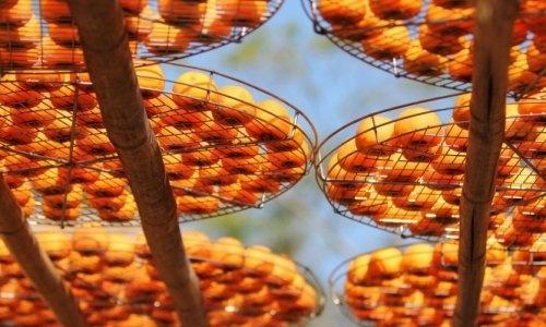 البرتقال... وقاية للمدخنين من السرطان