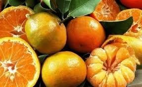 9 أسباب تدعوك لأكل المزيد من الحمضيات