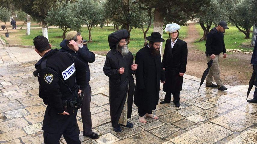 45 مستوطنًا يقتحمون باحات الأقصى