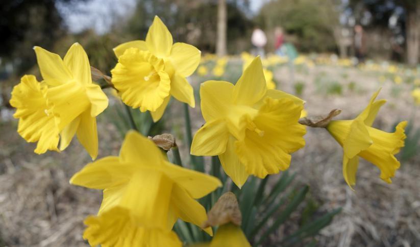 انخفاض طفيف على درجات الحرارة