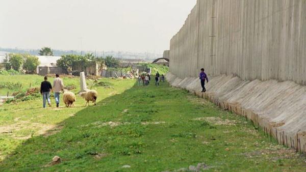 قلقيلية: الاحتلال يجدد أمر الاستيلاء على أراضٍ في جيوس وفلامية