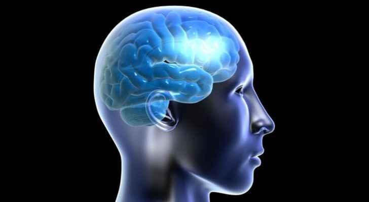 مفاجأة.. نشاط الدماغ يفوق ما كان متوقعاً!