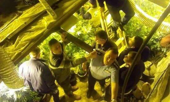 بالصور- ضبط مستنبت مخدرات داخل بئر ماء جنوب الخليل