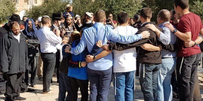 64 مستوطن يقتحمون باحات الاقصى بحماية الاحتلال