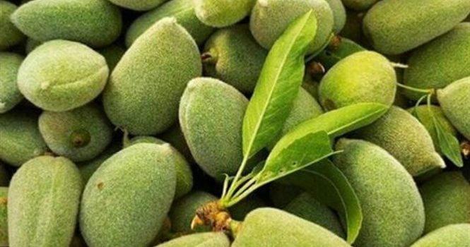 ما الذي تخفيه حبات اللوز الأخضر من فوائد!