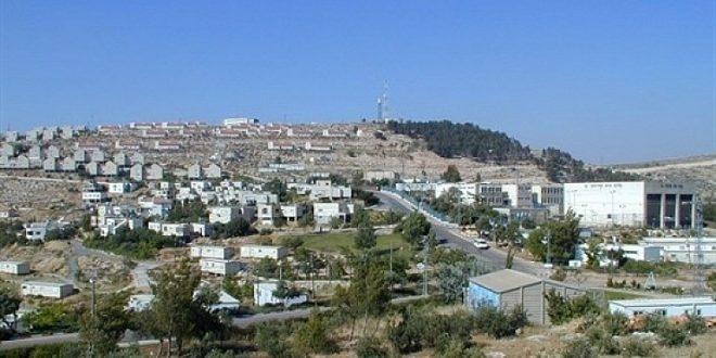 مستوطنون يشرعون بإقامة بؤرة استيطانية شرق المغير في رام الله