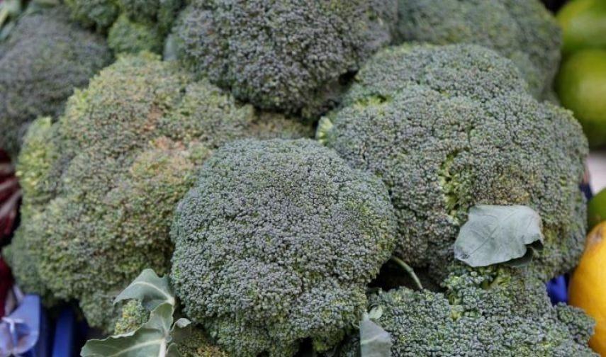 مركب في البروكلي يحارب سرطان البروستات