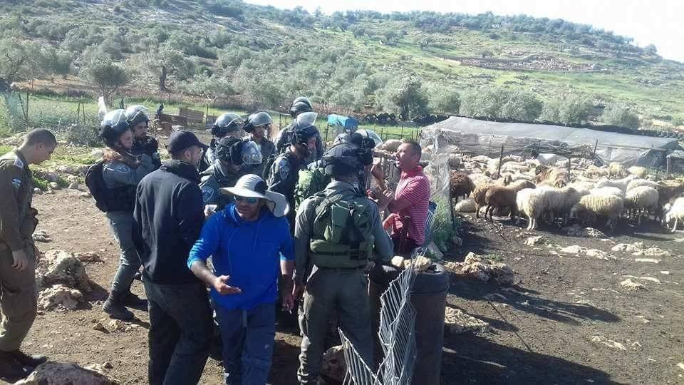 الاحتلال يهدم خياما سكنية وحظائر أغنام غرب سلفيت