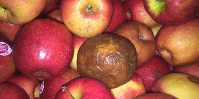ضبط طن ونصف تفاح غير صالح للاستهلاك الادمي في طولكرم