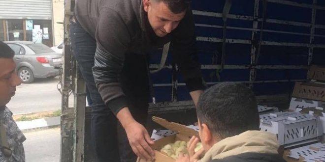 بالصور:ضبط 7000 صوص من انتاج المستوطنات في سلفيت