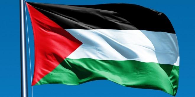 رفع العلم الفلسطيني على بلدية دبلن احتجاجا على وحشية الاحتلال