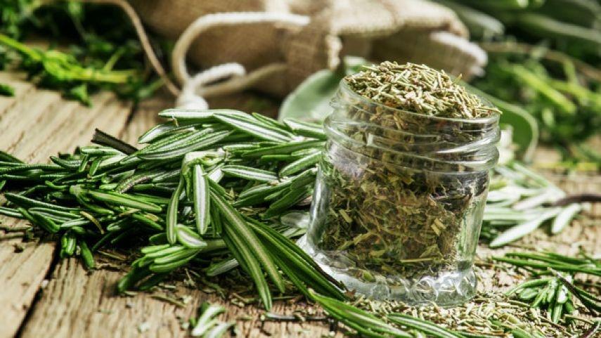 فوائد مذهلة لعشبة إكليل الجبل