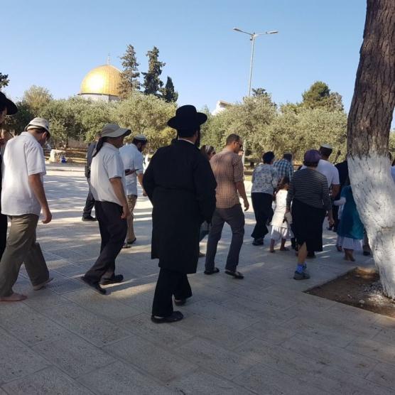 127 مستوطنًا وطالبًا يهوديًا يقتحمون الأقصى