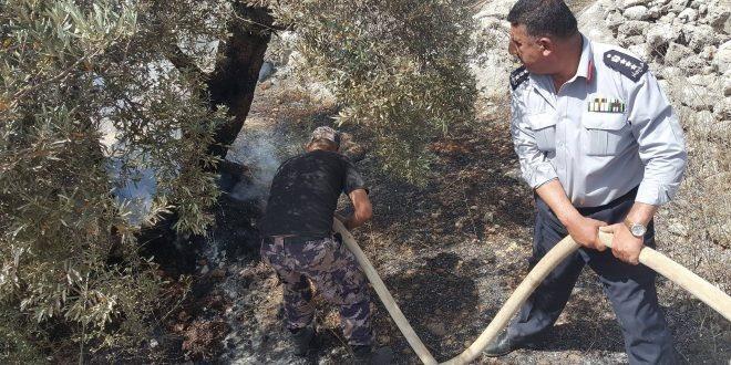 السيطرة على حريق جبل من الاشجار المثمرة والاعشاب الجافة جنوب طولكرم‎