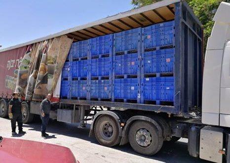 ضبط 72 مشتاح بطيخ مهربة من الاراضي المحتلة