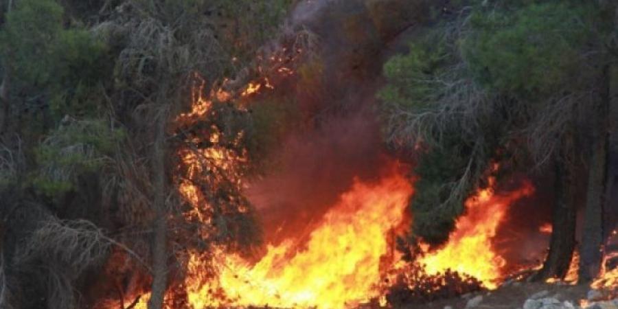 اندلاع حريق كبير بأحراش جنات في جنين
