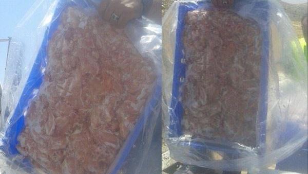 اتلاف 300 كغم دجاج في رام الله