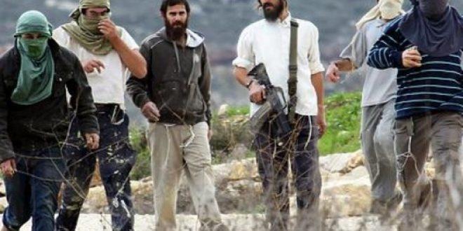 مستوطنون يستهدفون مركبات الفلسطينية بالحجارة واعتداء على مواطن جنوب بنابلس