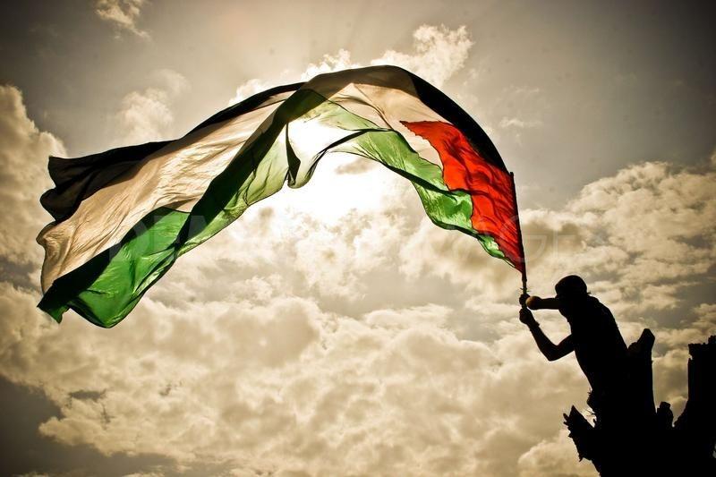 نائب رئيس مجلس الشيوخ الفرنسي: سنعمل على الاعتراف بدولة فلسطين