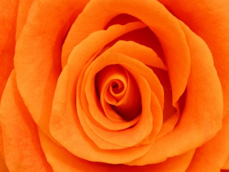 كيف تؤثر الألوان على عقلك؟